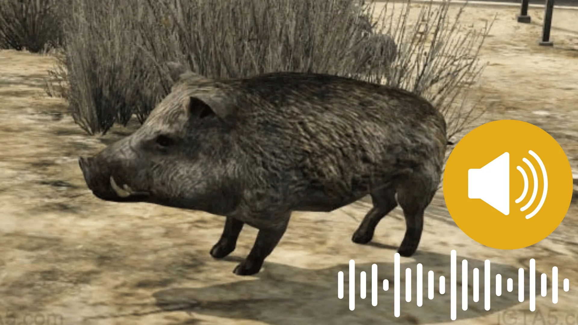 GTA 5 Animal Audio