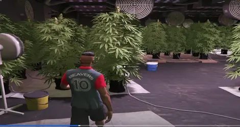 weed script.webp weed script.webp