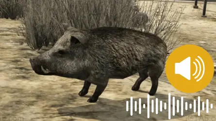 animal audio.webp animal audio.webp