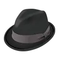 a16.webp