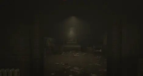Brnx asylum island10.webp