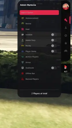 Codem admin menu script Fivem.webp