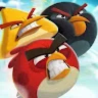 N1Y0