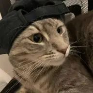weaqer