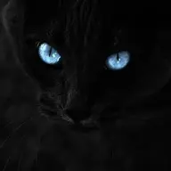 Prince