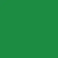 napletex12