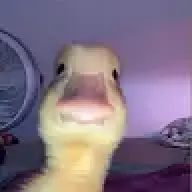 Memez2425