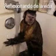 LELE