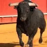 marcosvg