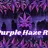 NParadise